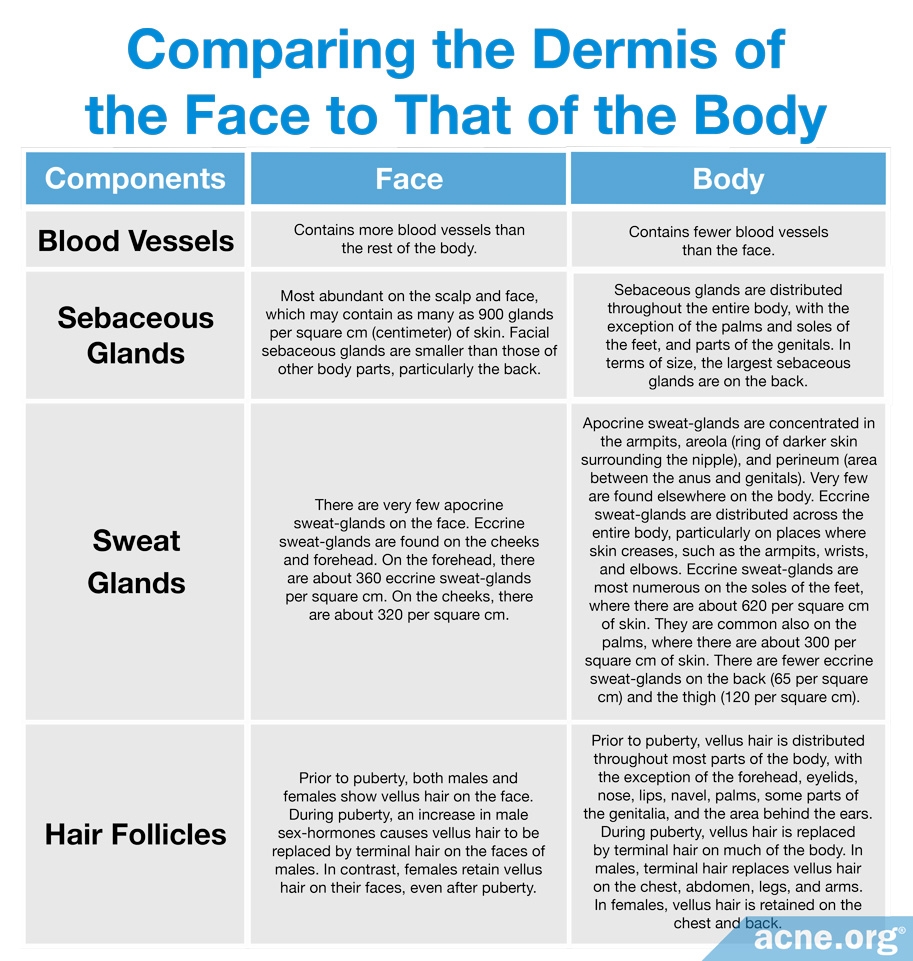 What Is the Difference Between Skin on the Face and Skin on the Body? -  Acne.org
