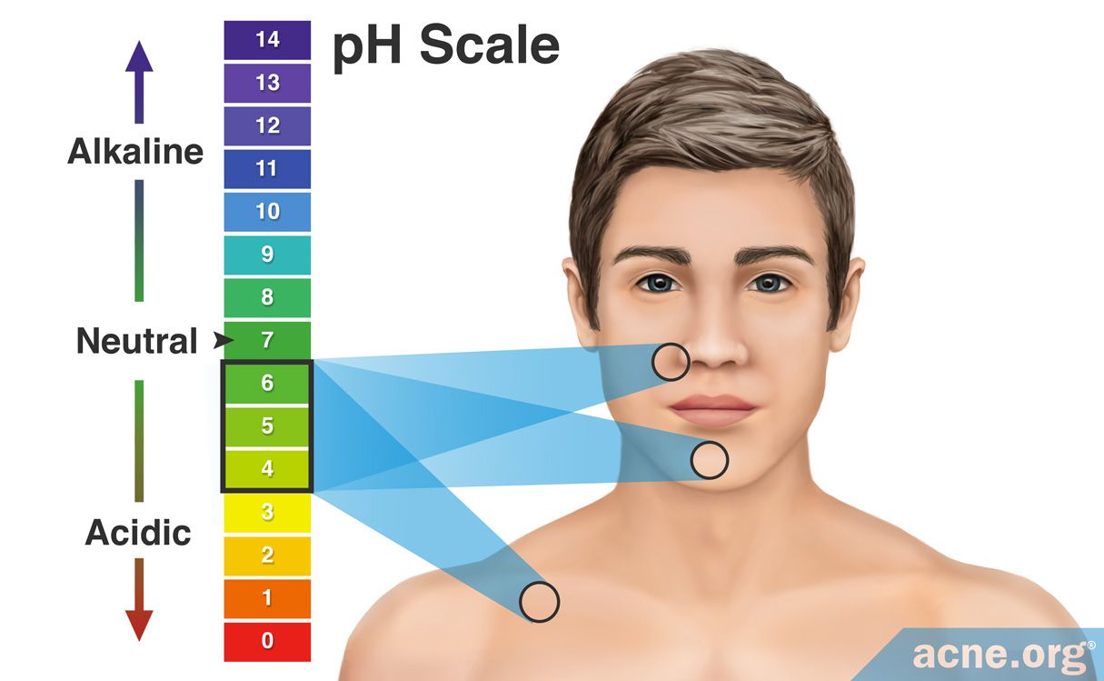 What Is the pH of Human Skin? - Acne.org