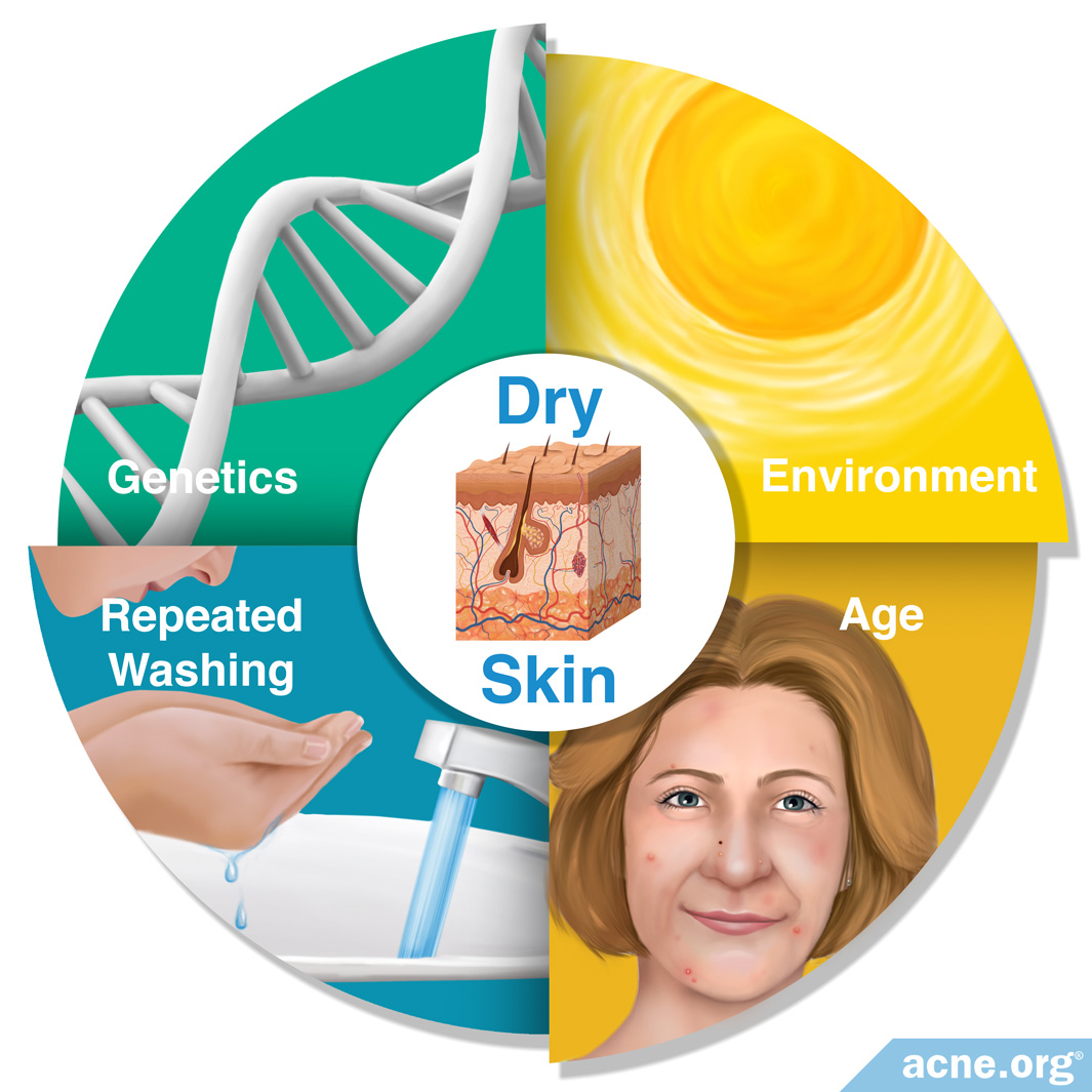 Dry Skin: Causes and Treatments - Acne.org